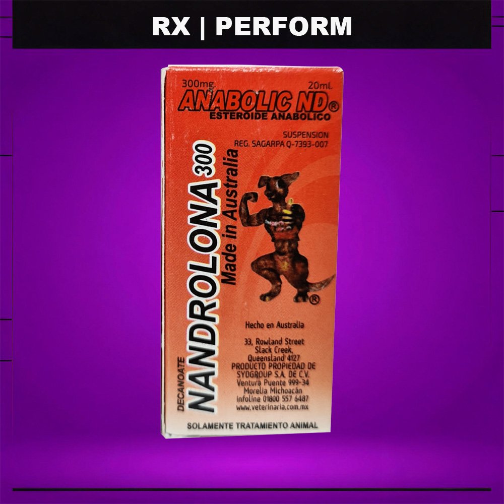 deca Nandrolona 300 mg/mL (Decanoato de Nandrolona / Deca) – Frasco 20 mL – Canguro - Image 1